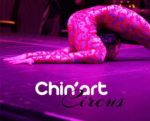 Chine Art Circus